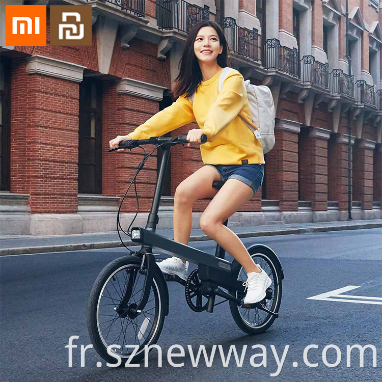 Mi Qicycle Electric Bicycle